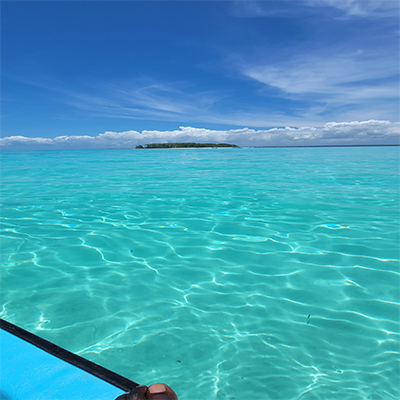 Dolphin Tour